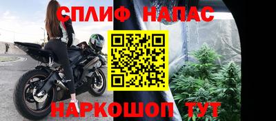 ГАЛЛЮЦИНОГЕННЫЕ ГРИБЫ Пугачёв